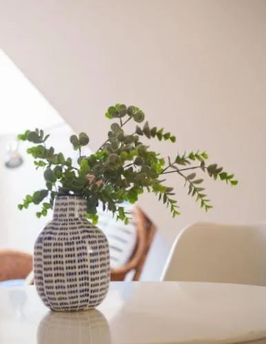 Apartment Sonhos 17